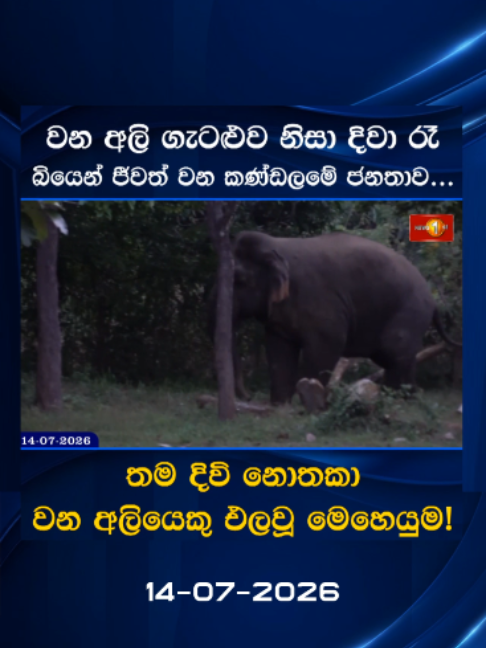 @Newsfirst Sri Lanka
