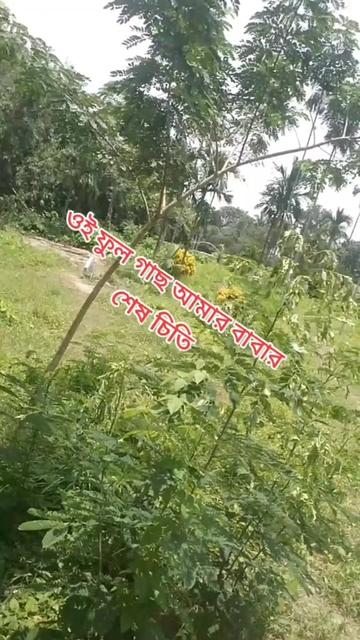 @sharmin