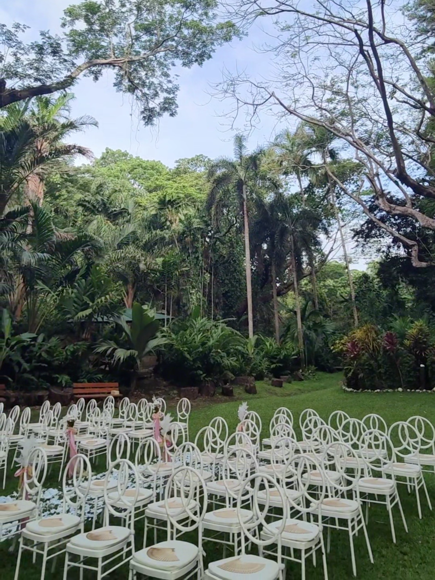@Bula Bride