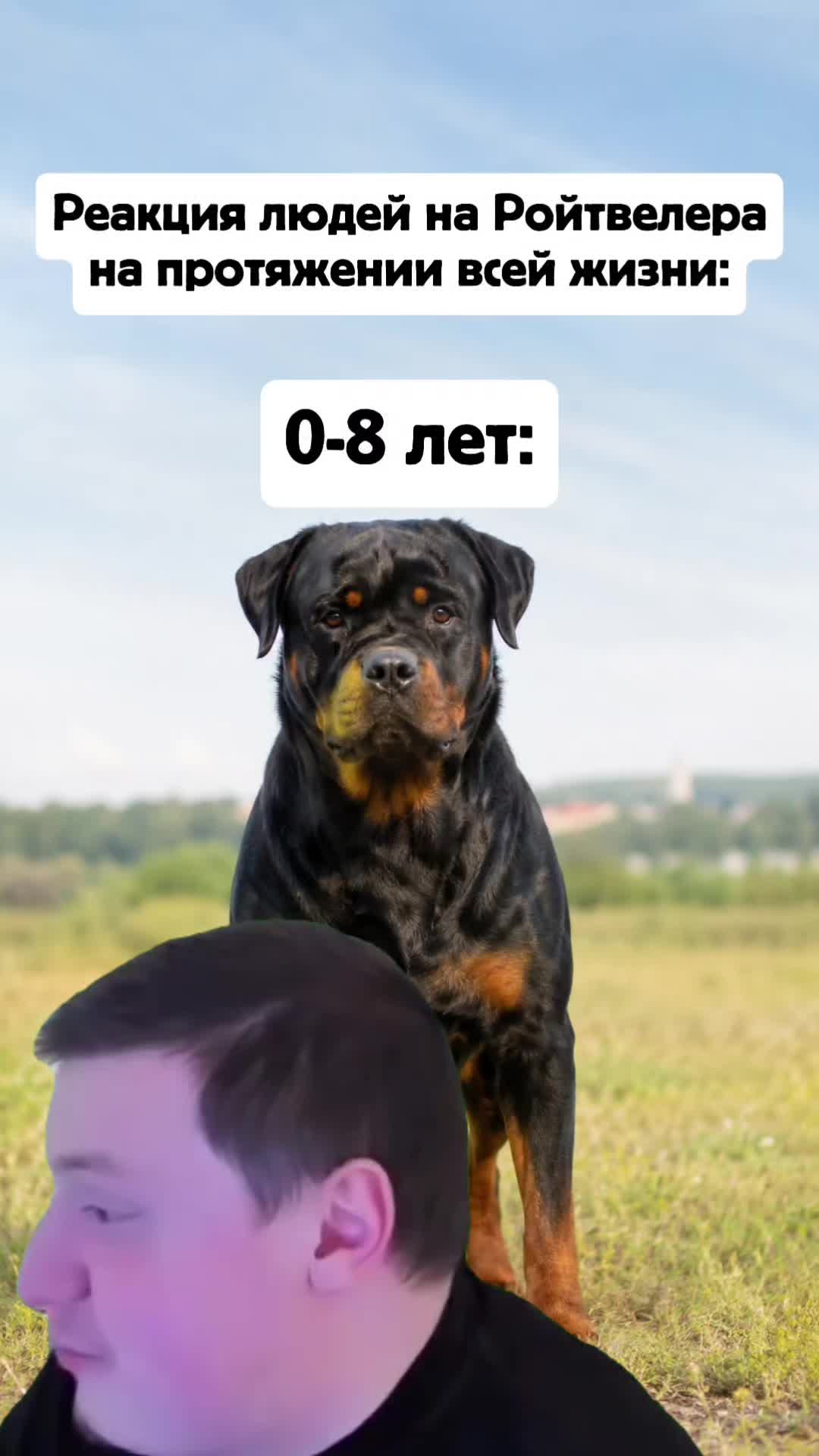 @лера