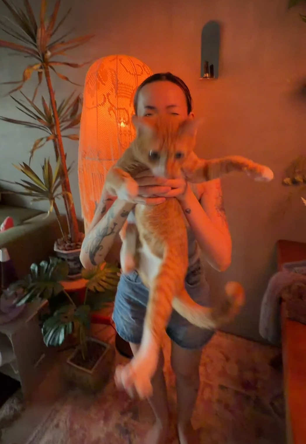 @viibecranky