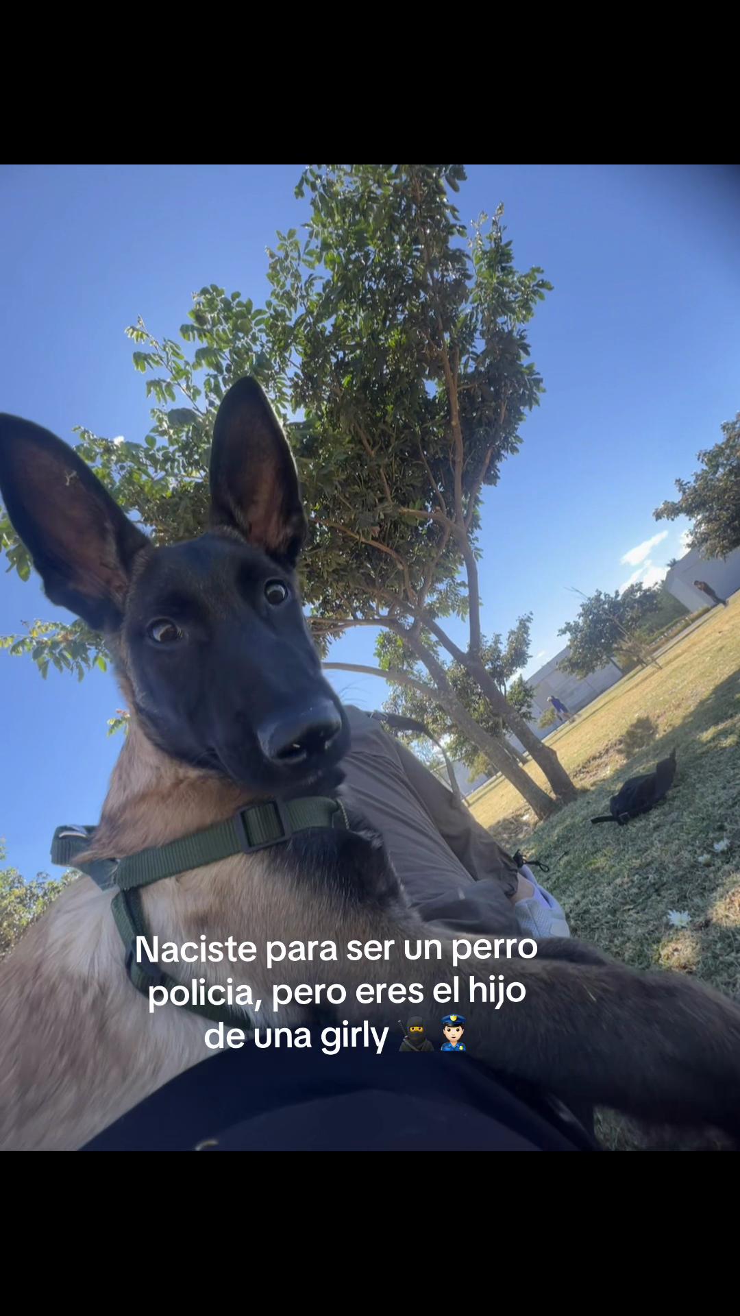 @Pao 🐣🥷