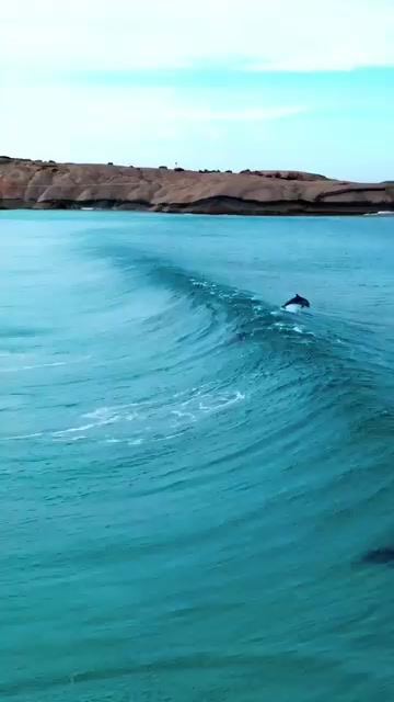 @𝓐𝓵𝓯𝓻𝓮𝓭𝓸