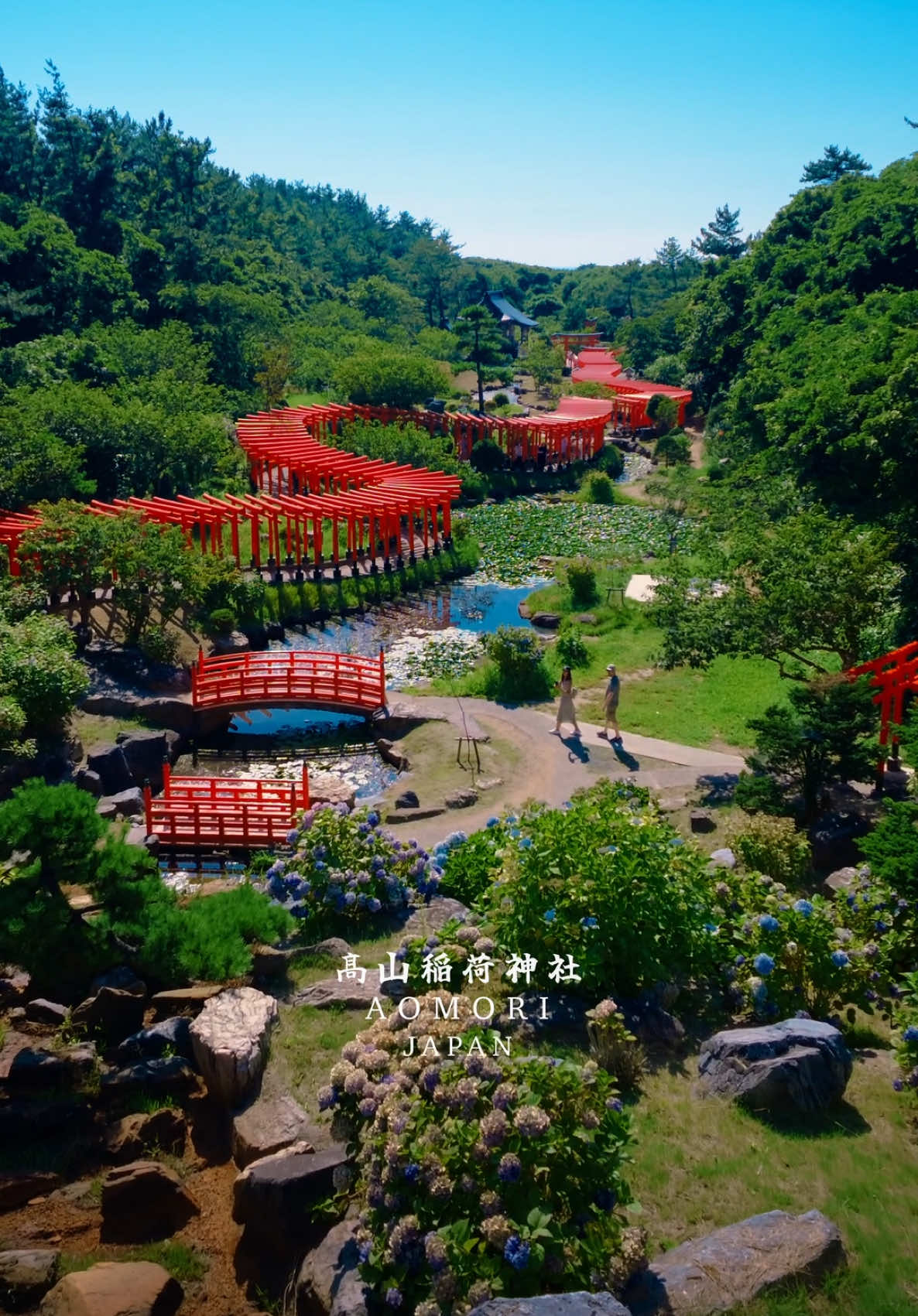 @Cotton | Japan Travel ð¯ðµ