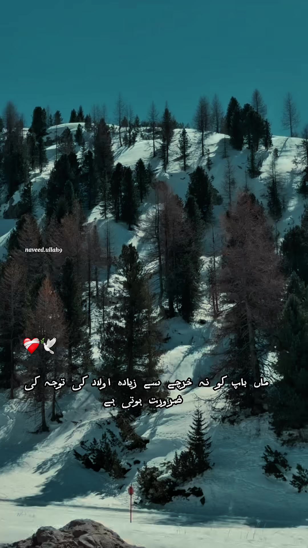 @Naveed Ullah