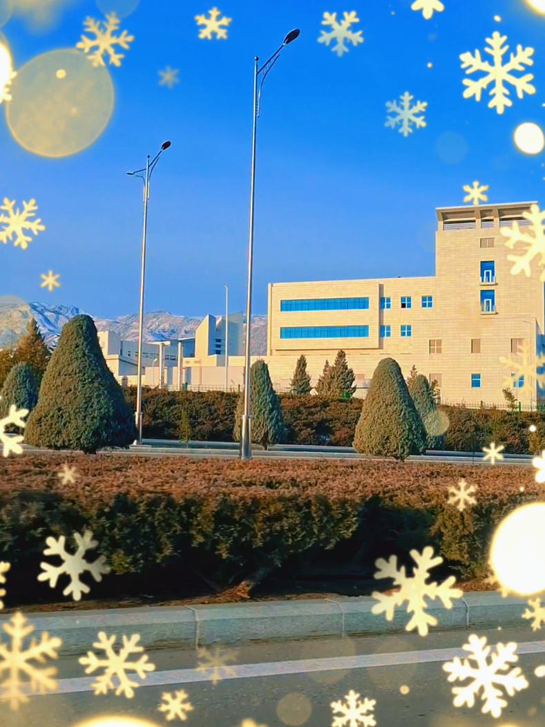 @gulsenem.mugallym