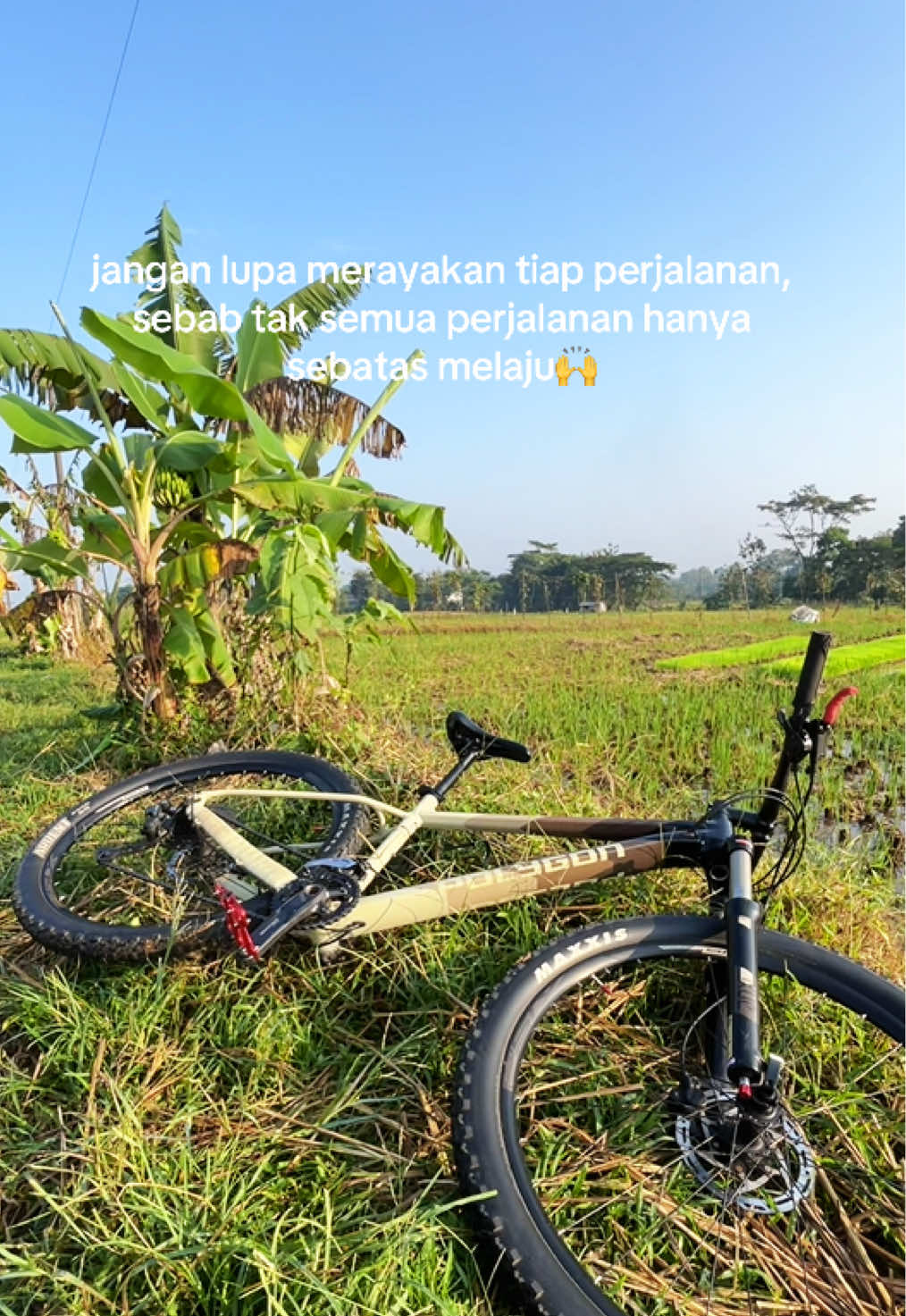 @soto sapiii