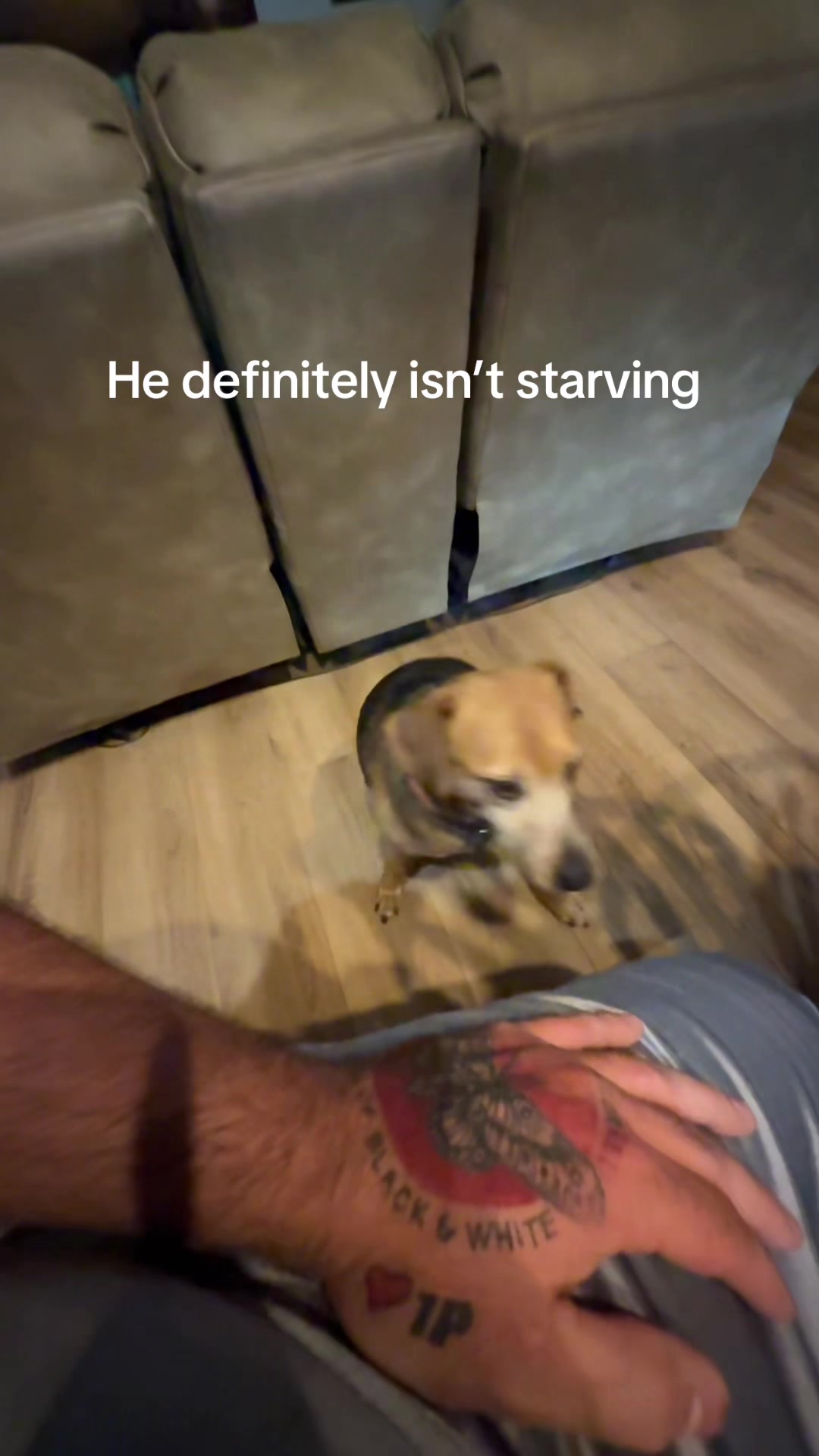 @𝓑𝓖𝓦𝓘𝓞𝓤𝓣𝓓𝓞𝓞𝓡𝓢
