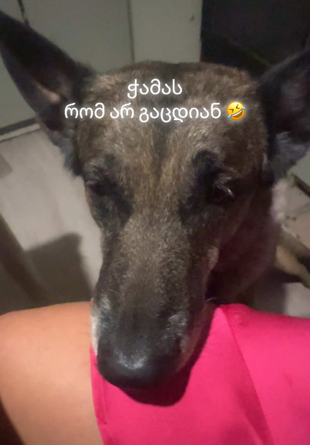 @๐ธTamo Zakariadze๐ธ