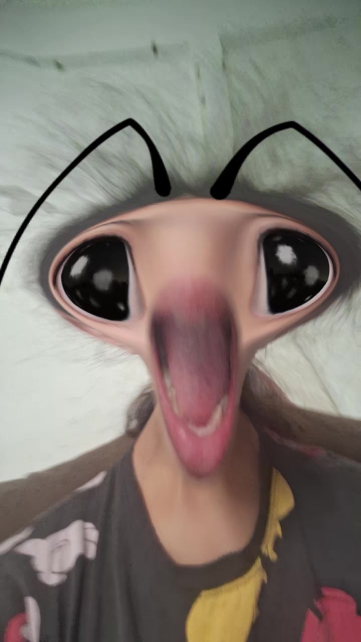 @โค๏ธ๐ฉน๐๐๐๐๐ป๐ฆ