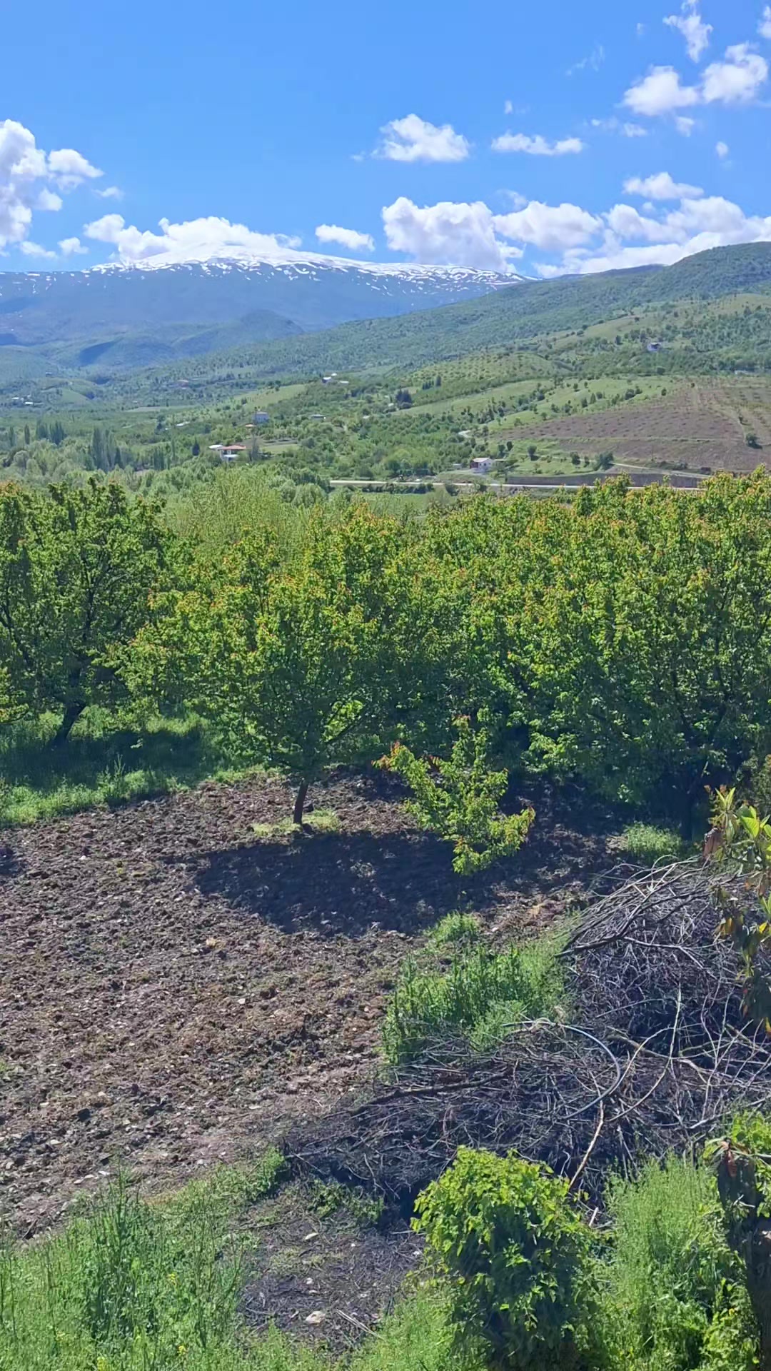 @Ebubekir adıyaman