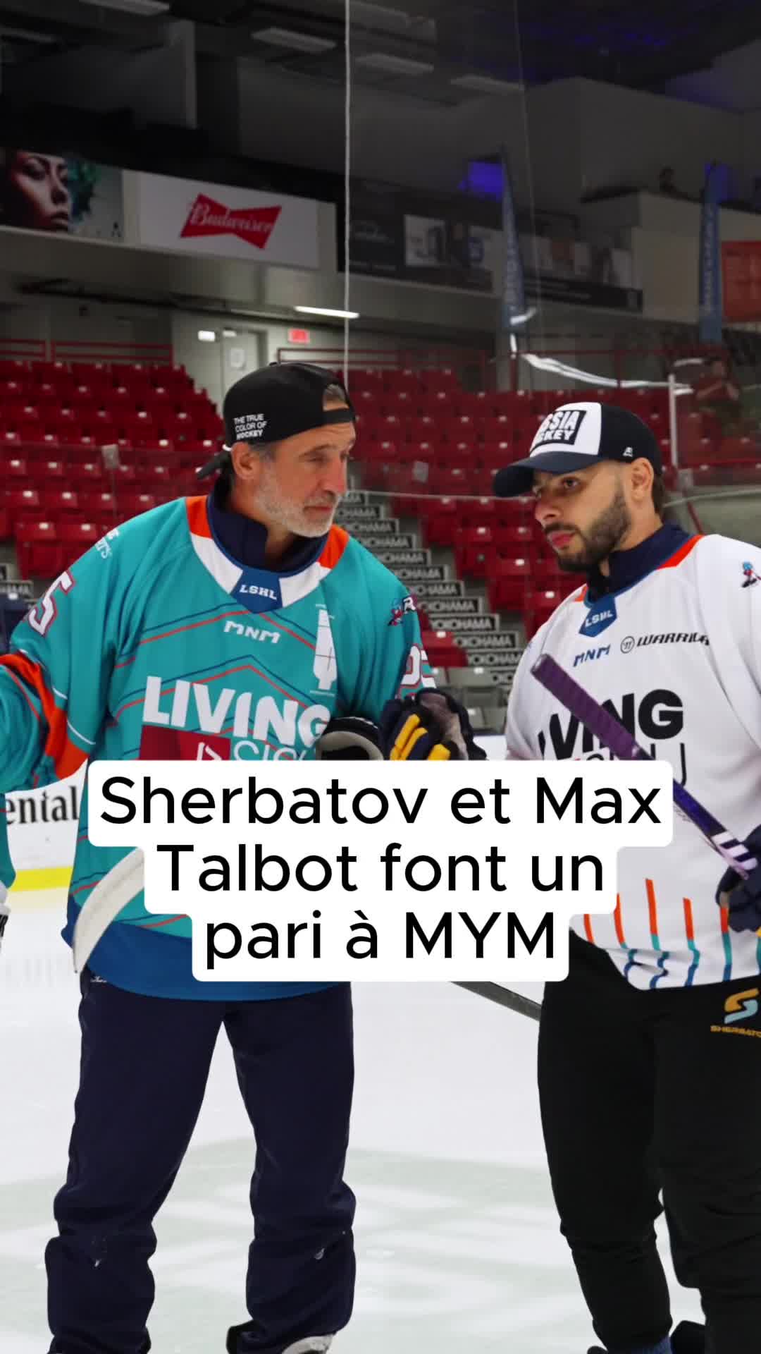 @Eliezer Sherbatov