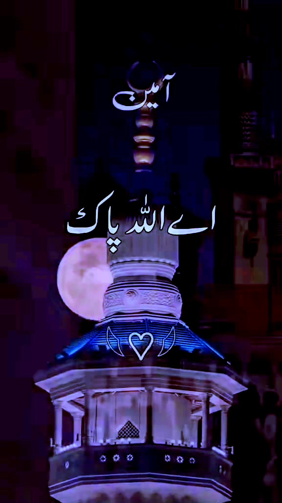 @maliksajjad1860