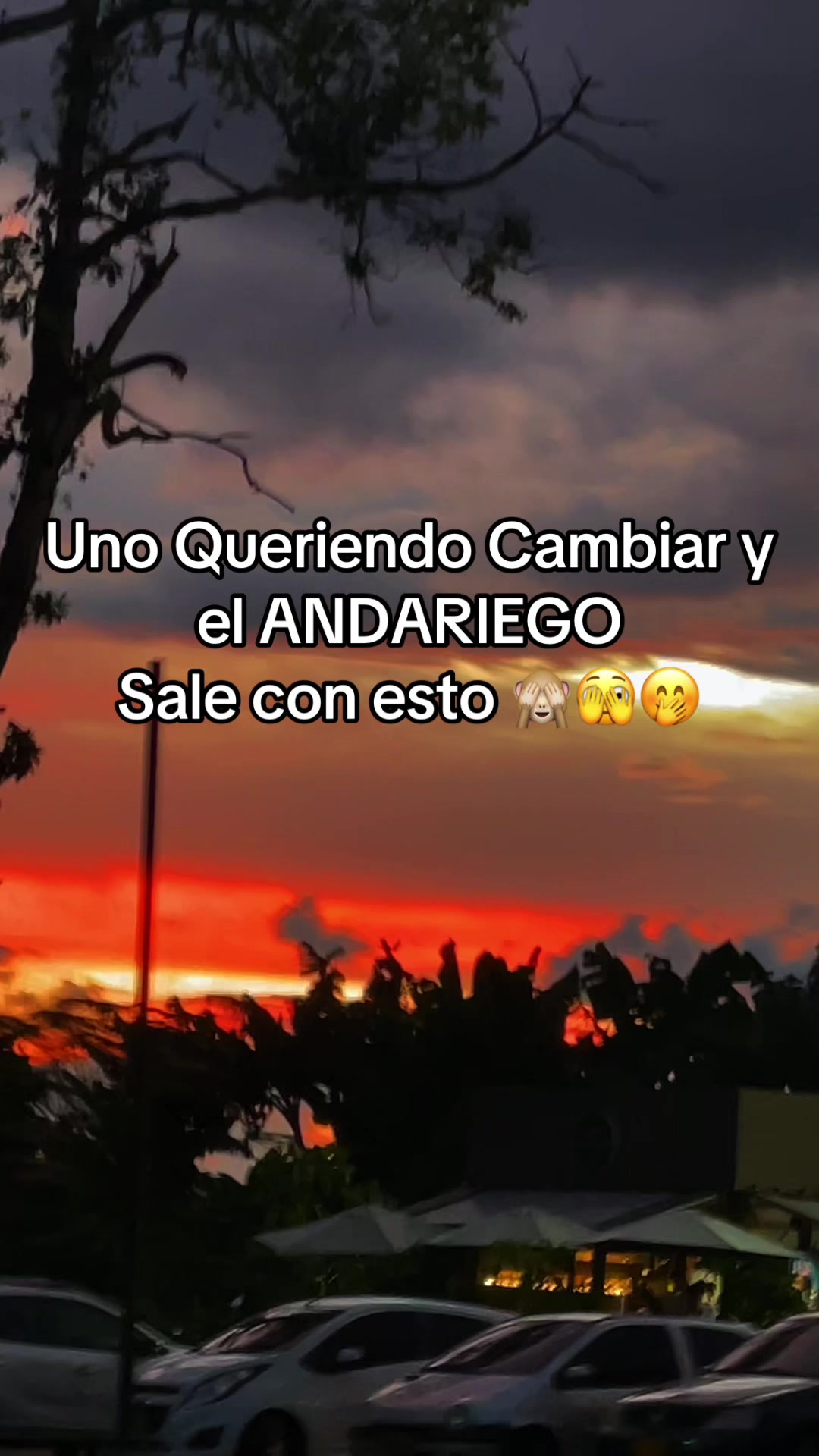 @Natalia Loaiza