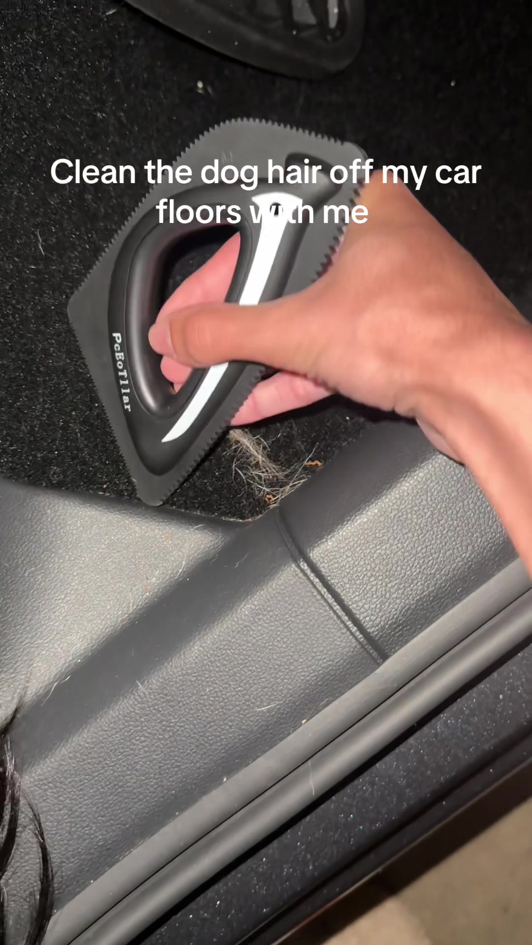 @Raneem 🐍