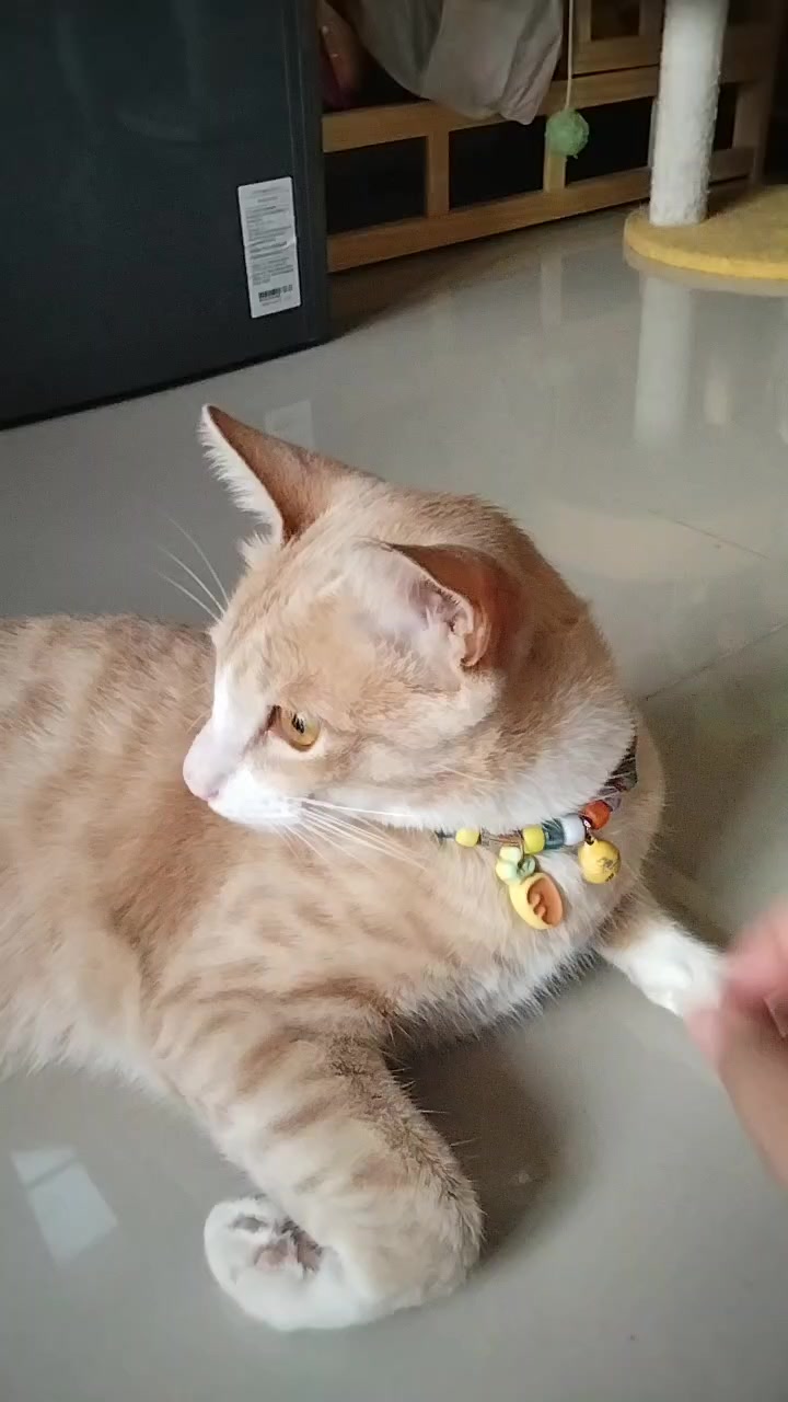@วัชรากร เกษมสุข (โฟล์ค)