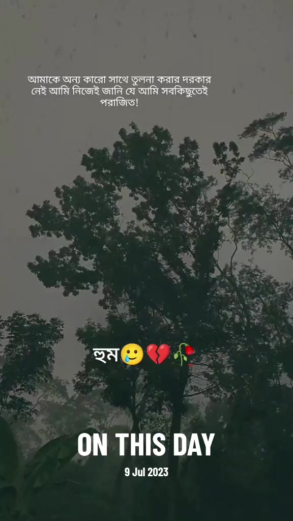 @Mr safayet bwn🇧🇳🇧🇩