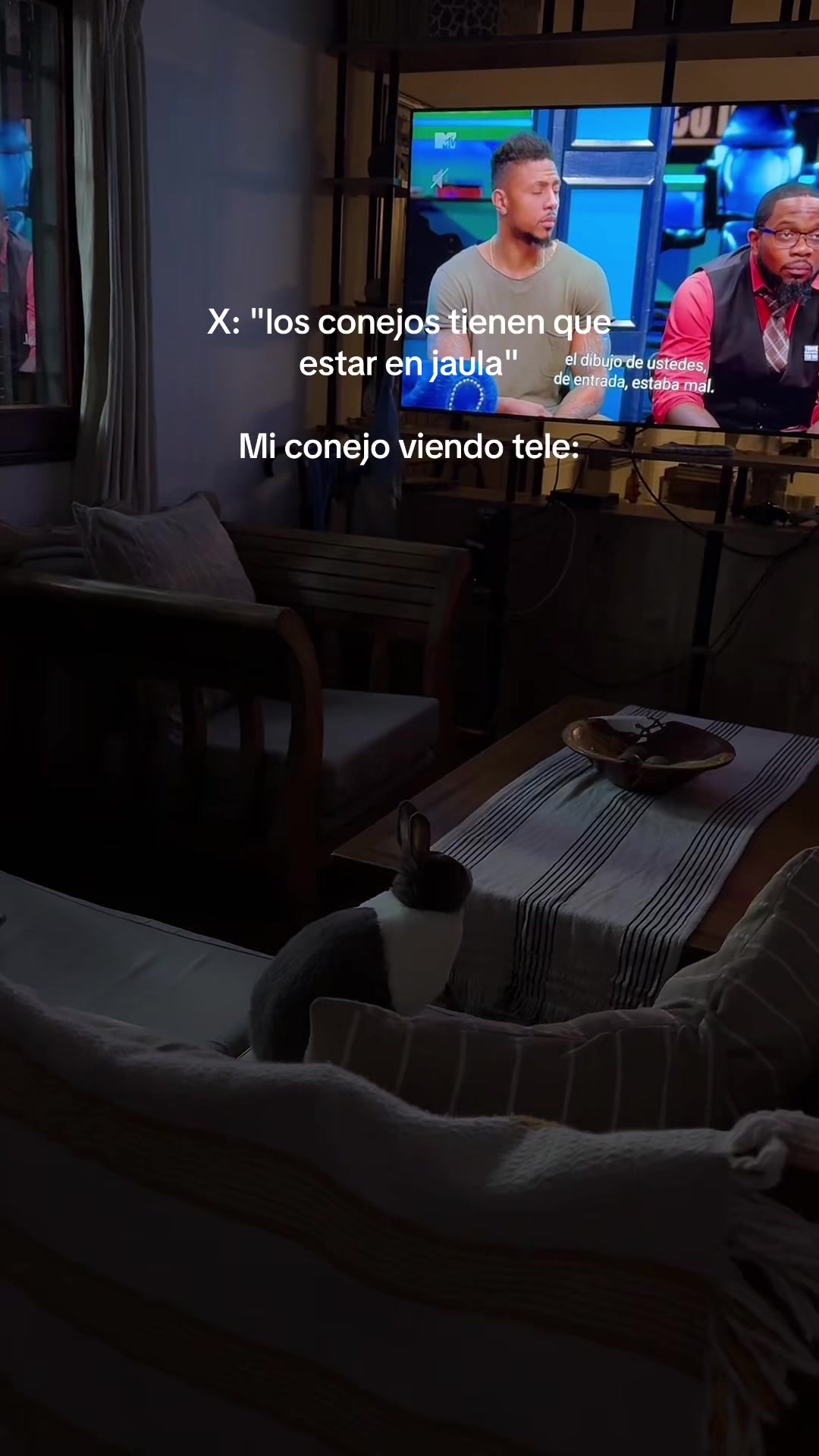 @Abril