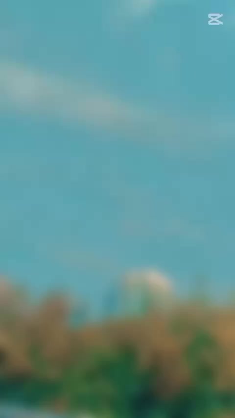 @shahzadi