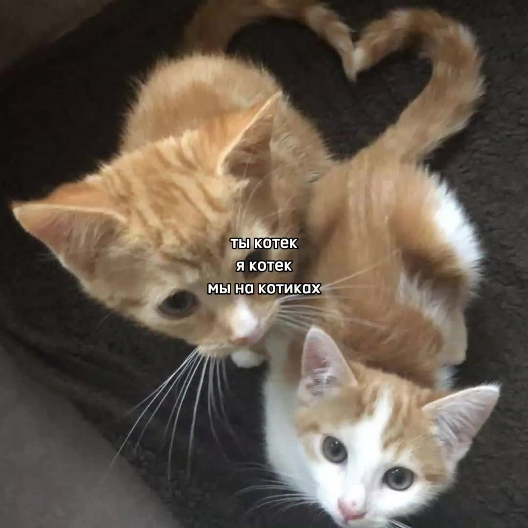 @ꜰᴇɴʏᴀ@