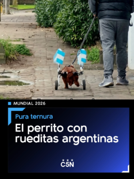 @c5n