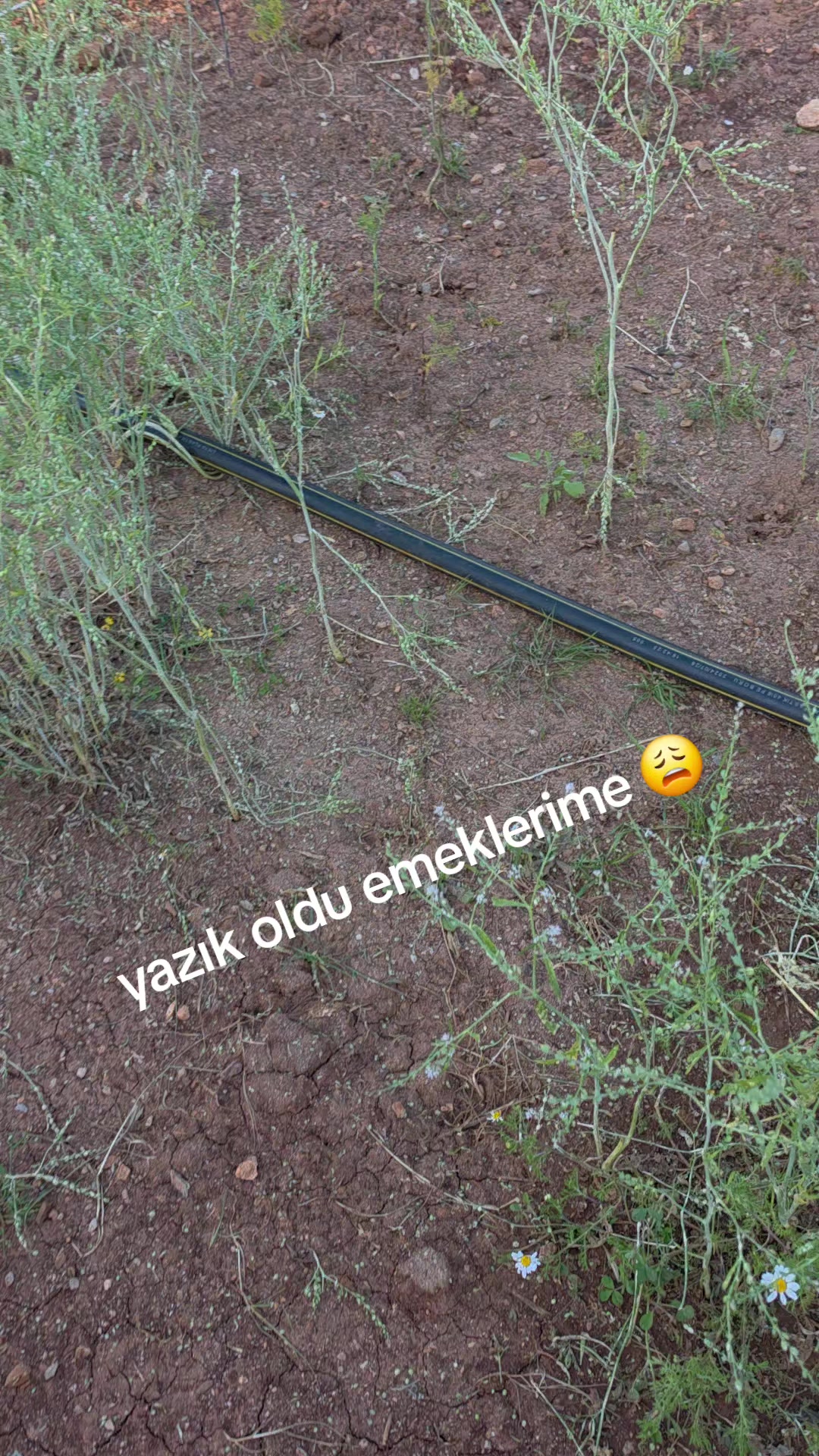 @örgü_sanatı