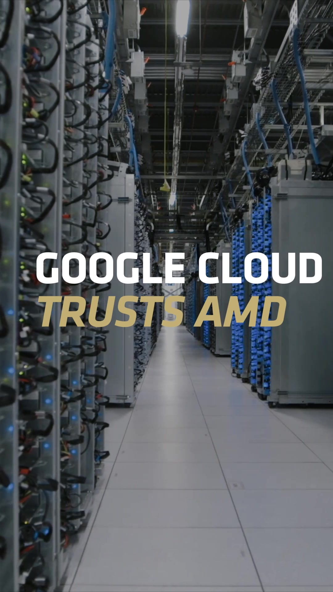 @AMD