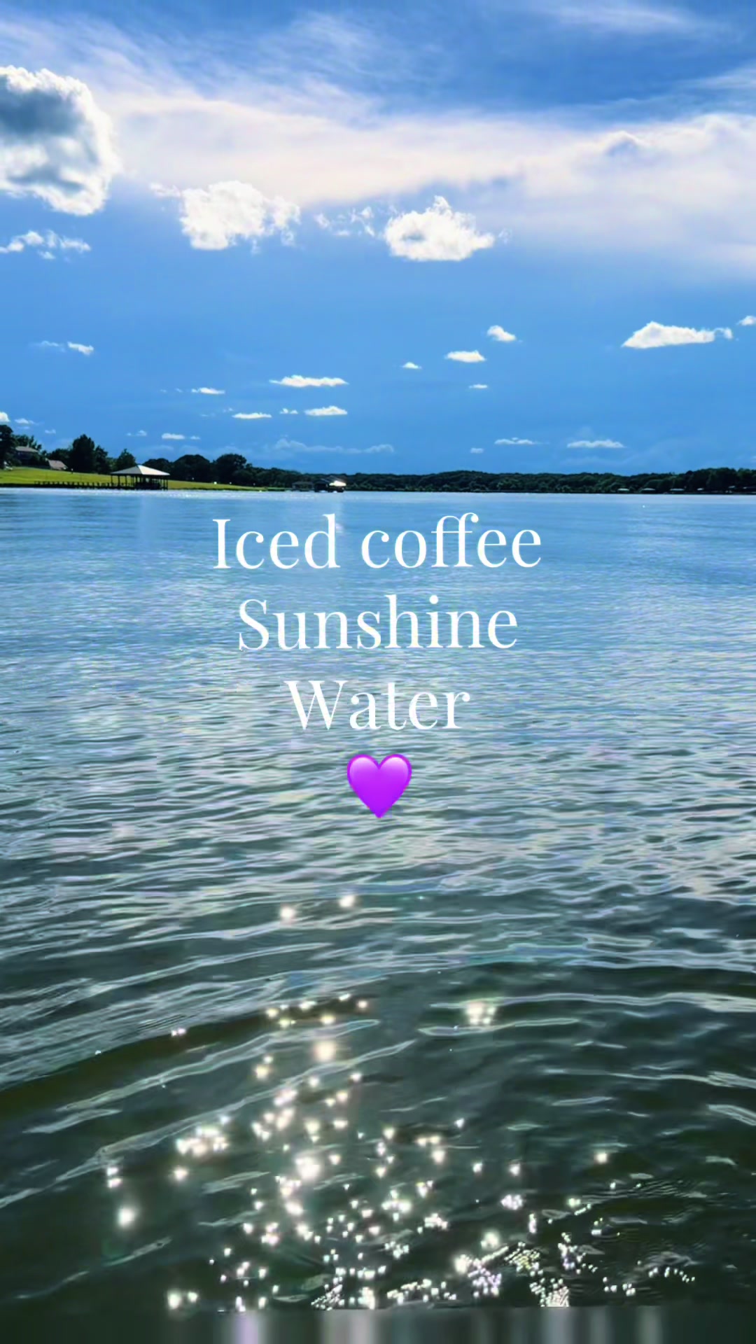 @Holly 💜