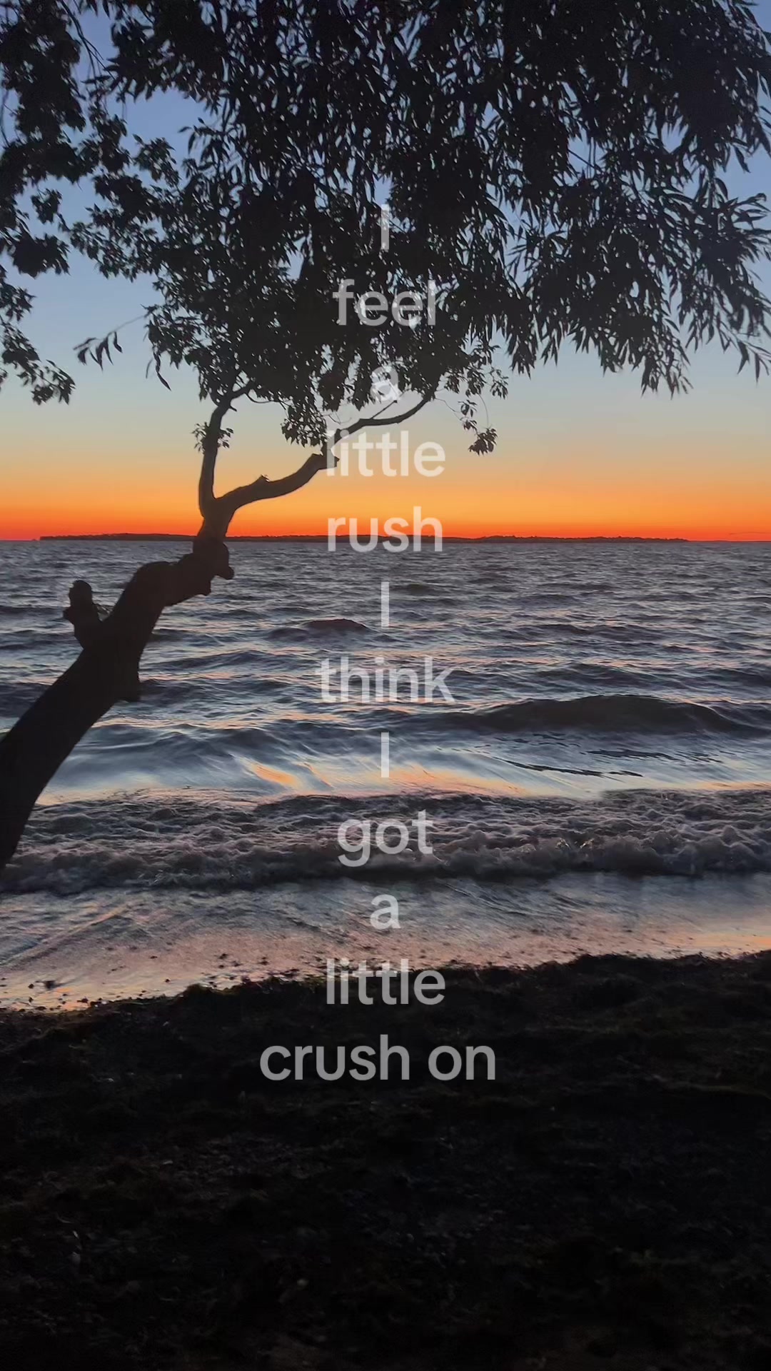 @𝓐𝓵𝓵𝓸𝓻𝓪.🍂