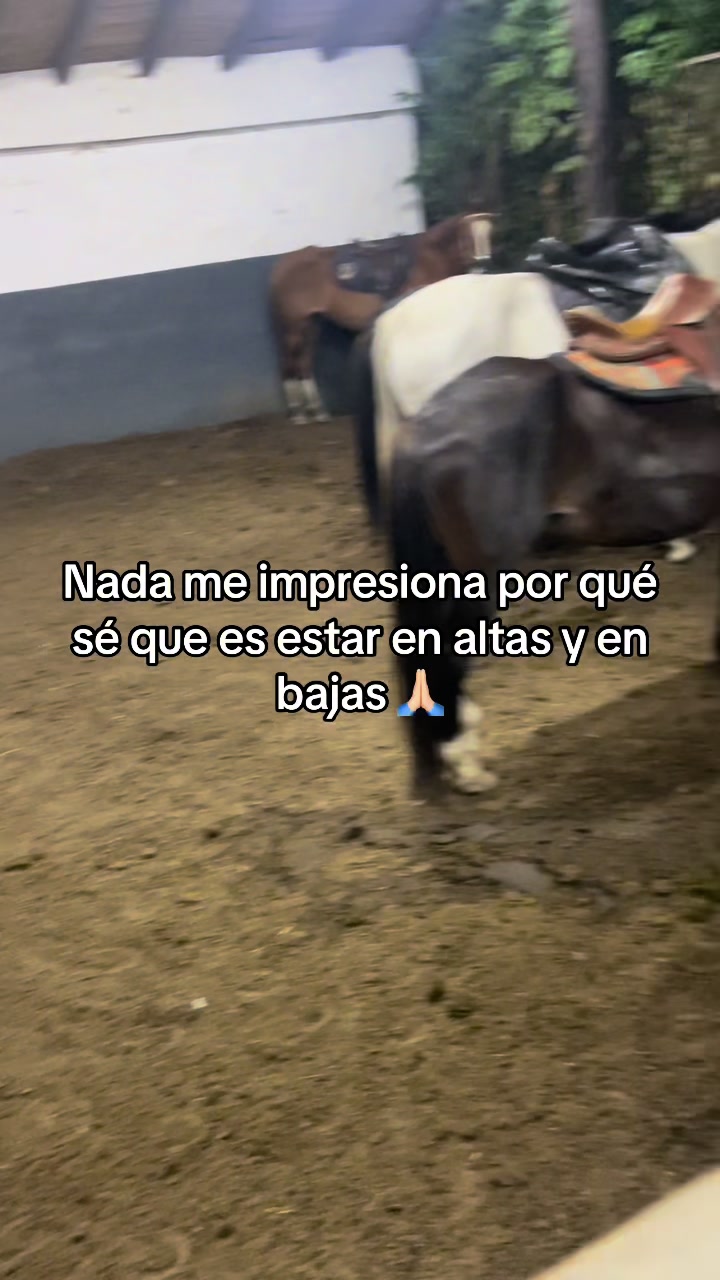 @Juan Rodríguez 🐄