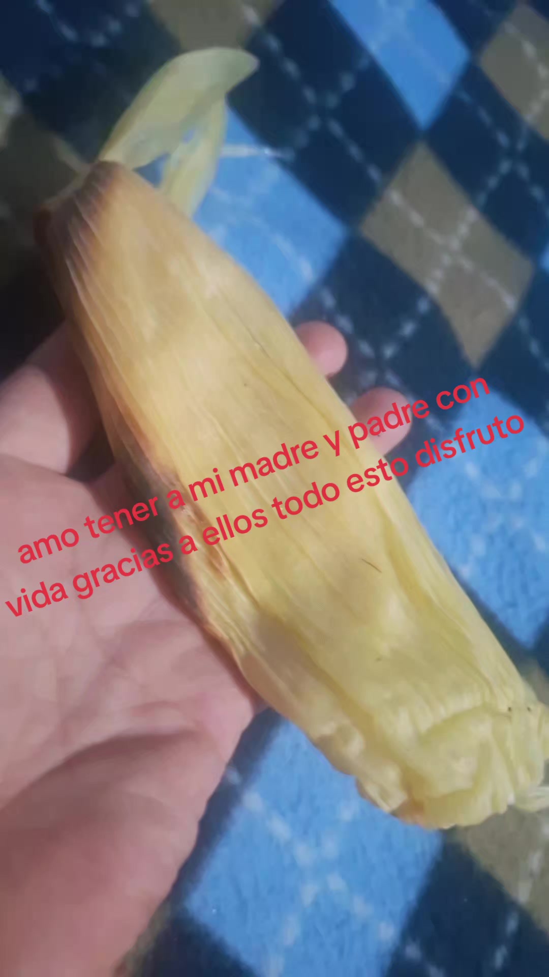@paulita casanca 😍😍🤩😜