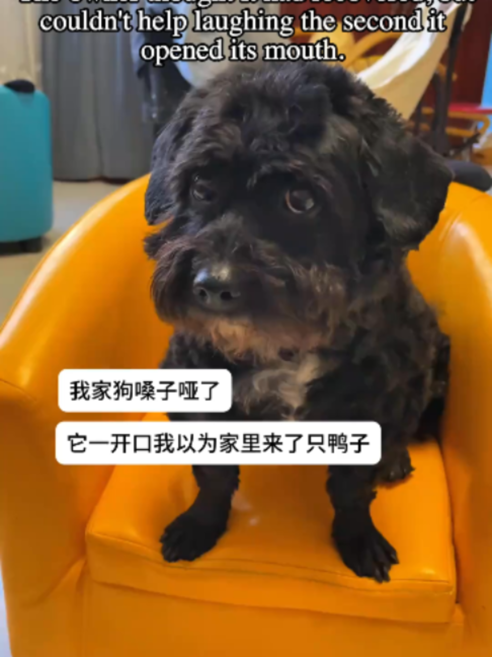 @中国蓝国际