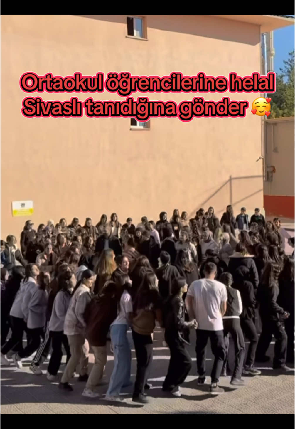 @Aylin Demir Fanları