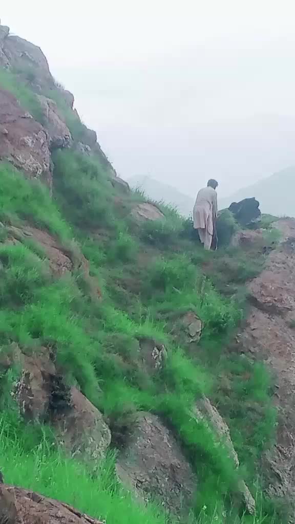 @zarbatkhan