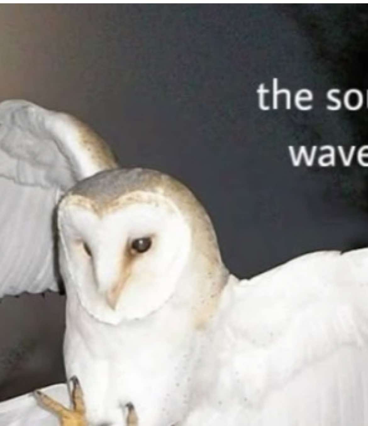 @ɪ ᴊᴜsᴛ ɢᴀᴠᴇ ʀᴀᴅɪᴏ ⋆ ʜᴇᴀᴅ
