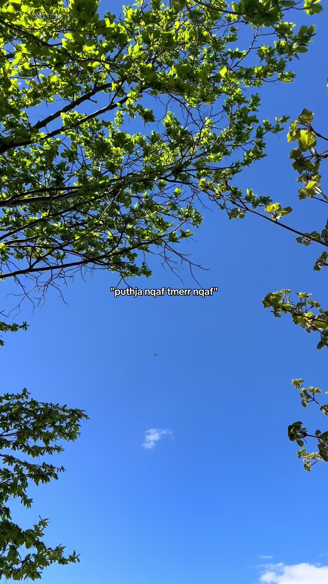 @🇦🇱