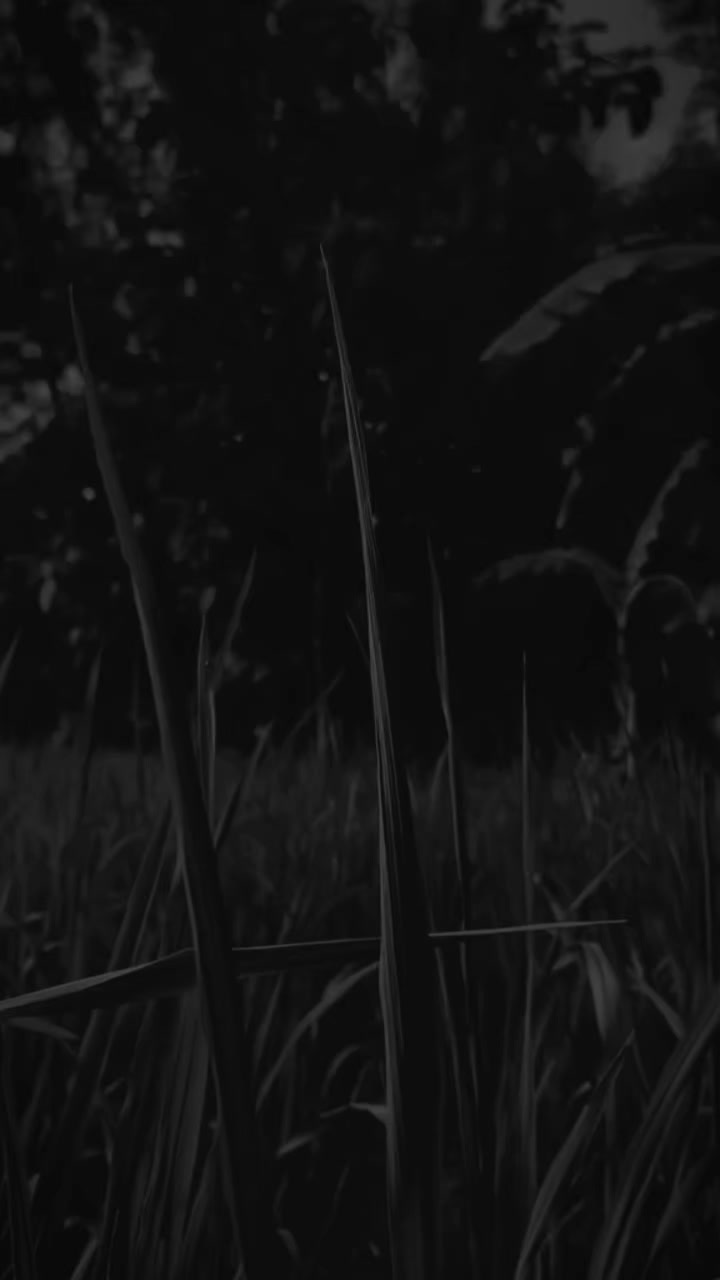 @𝙣𝙤𝙣𝙜𝙠𝙚𝙨𝟮𝟲_