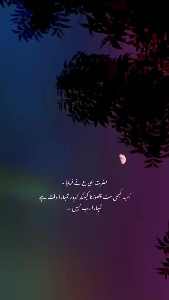 @🦋🦋