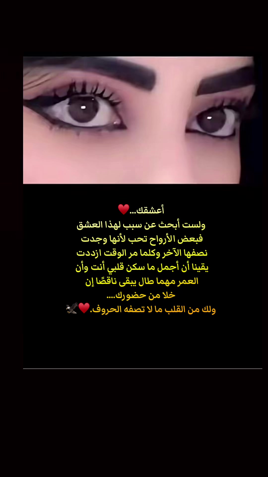 @💕شيهانة الجنوب💕