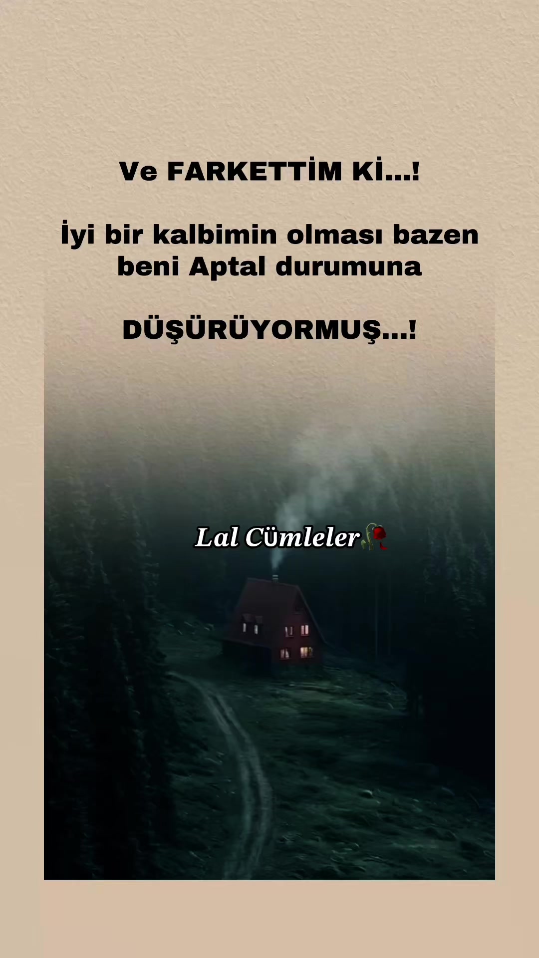 @𝑳𝒂𝒍 𝑪ü𝒎𝒍𝒆𝒍𝒆𝒓✍️