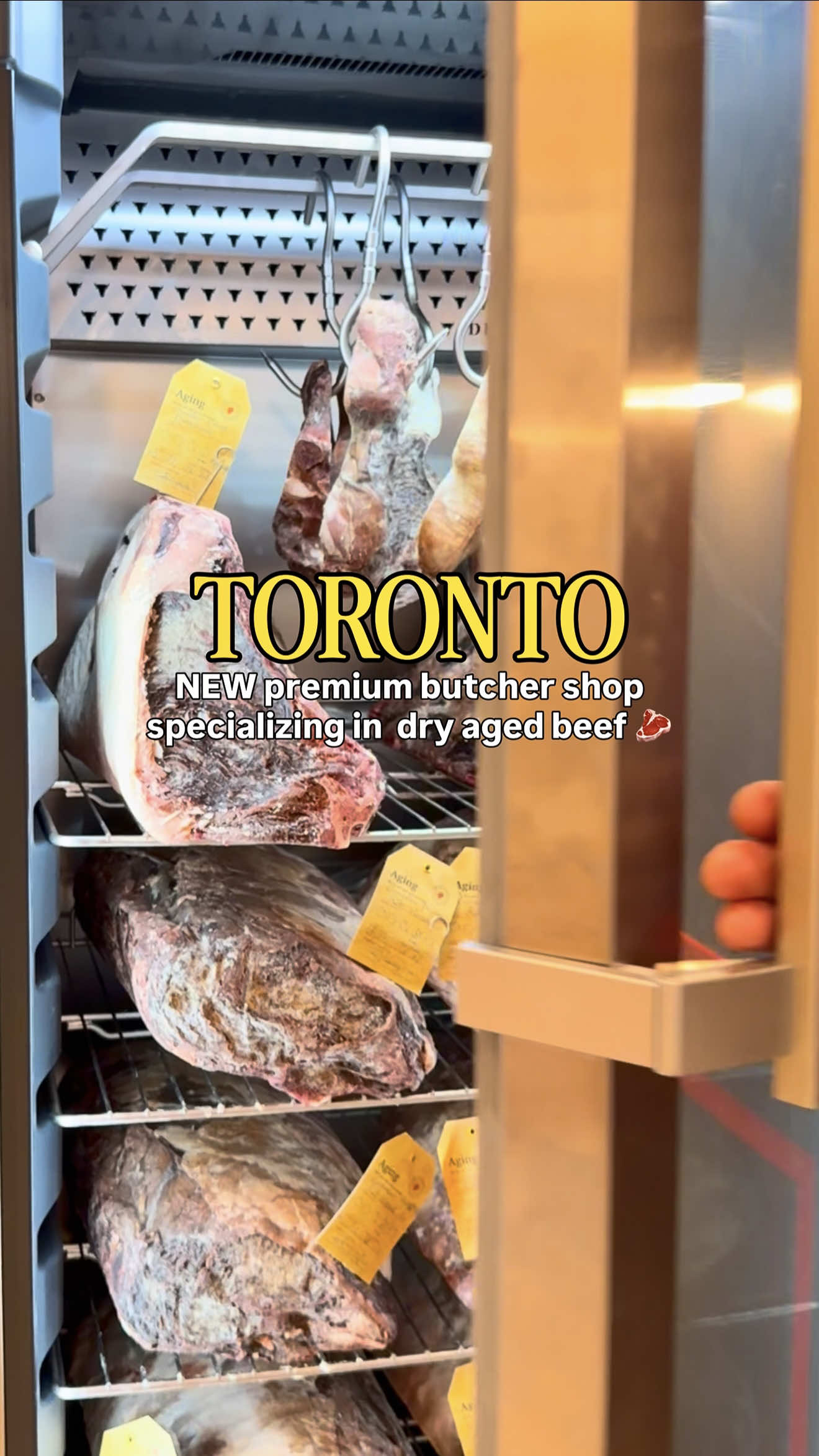 @Jess and John, Toronto Foodies