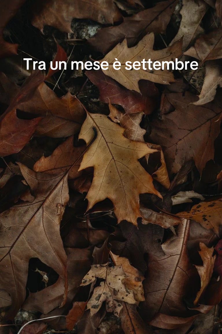 @Io Scrivo 🧸