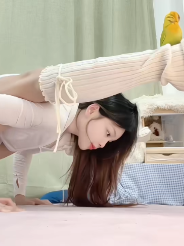 @๐ฝ๐๐๐๐๐๐ ๐ฎ+++