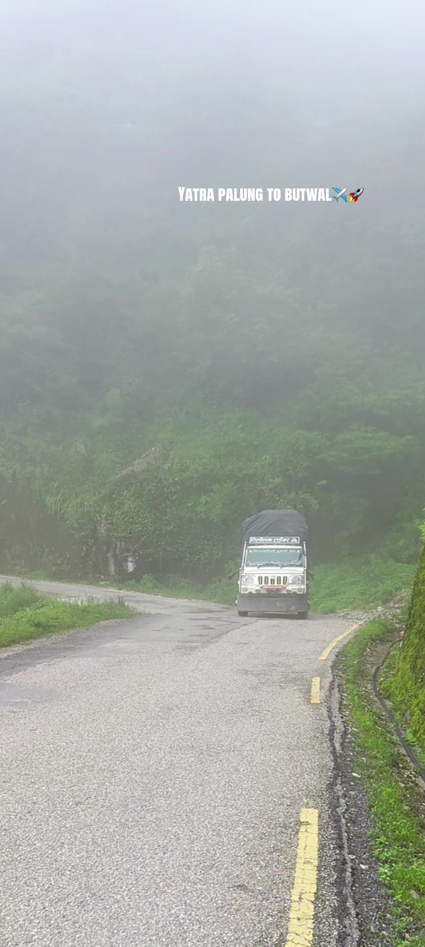@तिलोत्तमा टाईगर🐯
