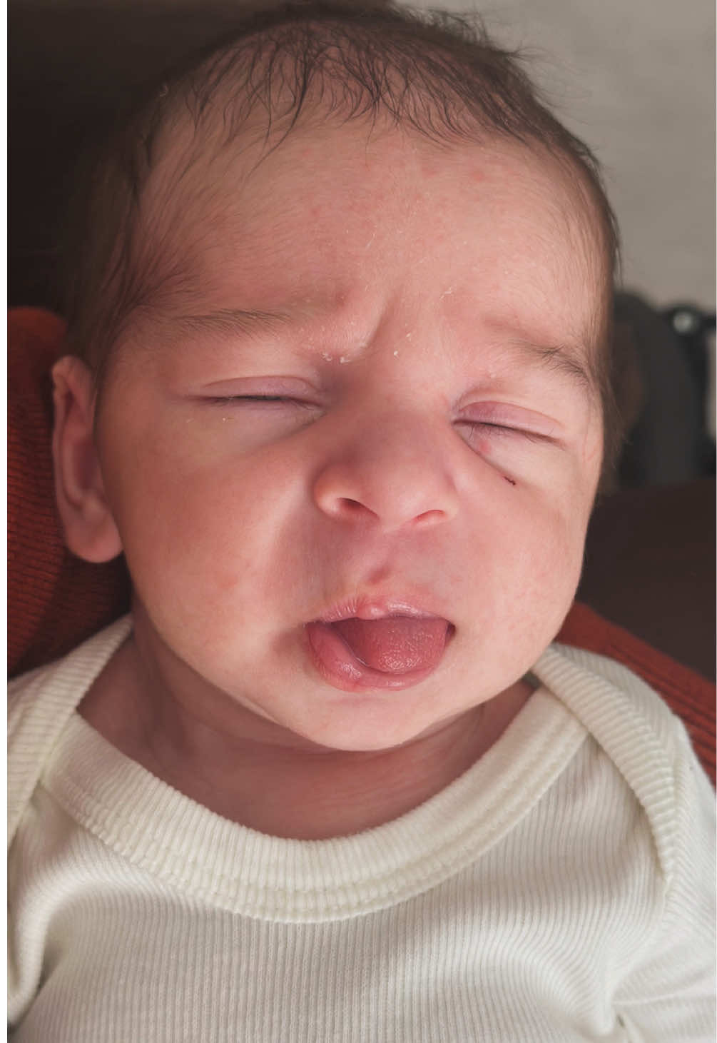 @Amanda.carolinna__