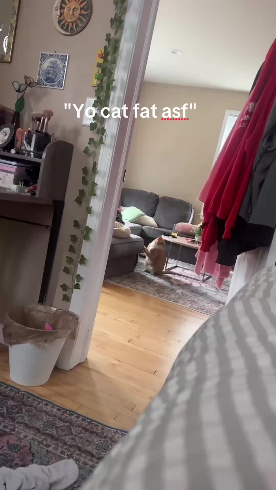 @mira!