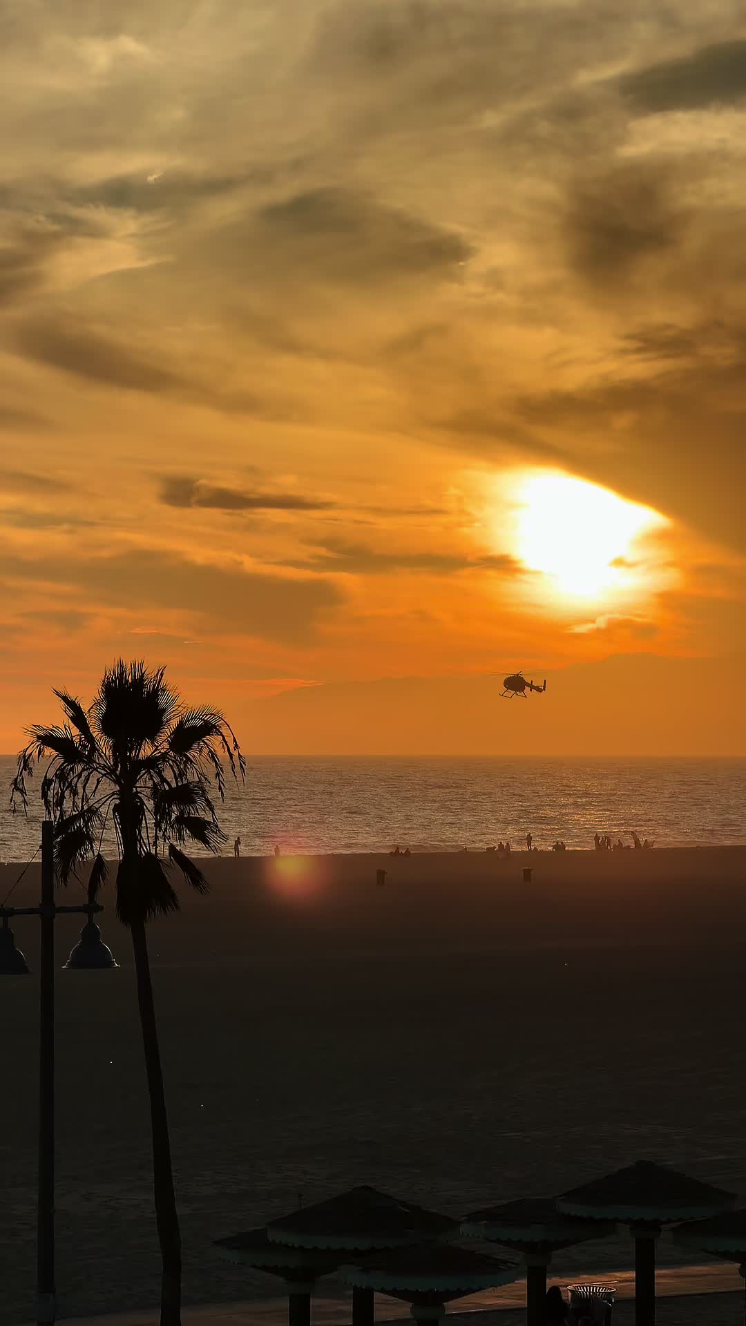@Venice Beach Boardwalk