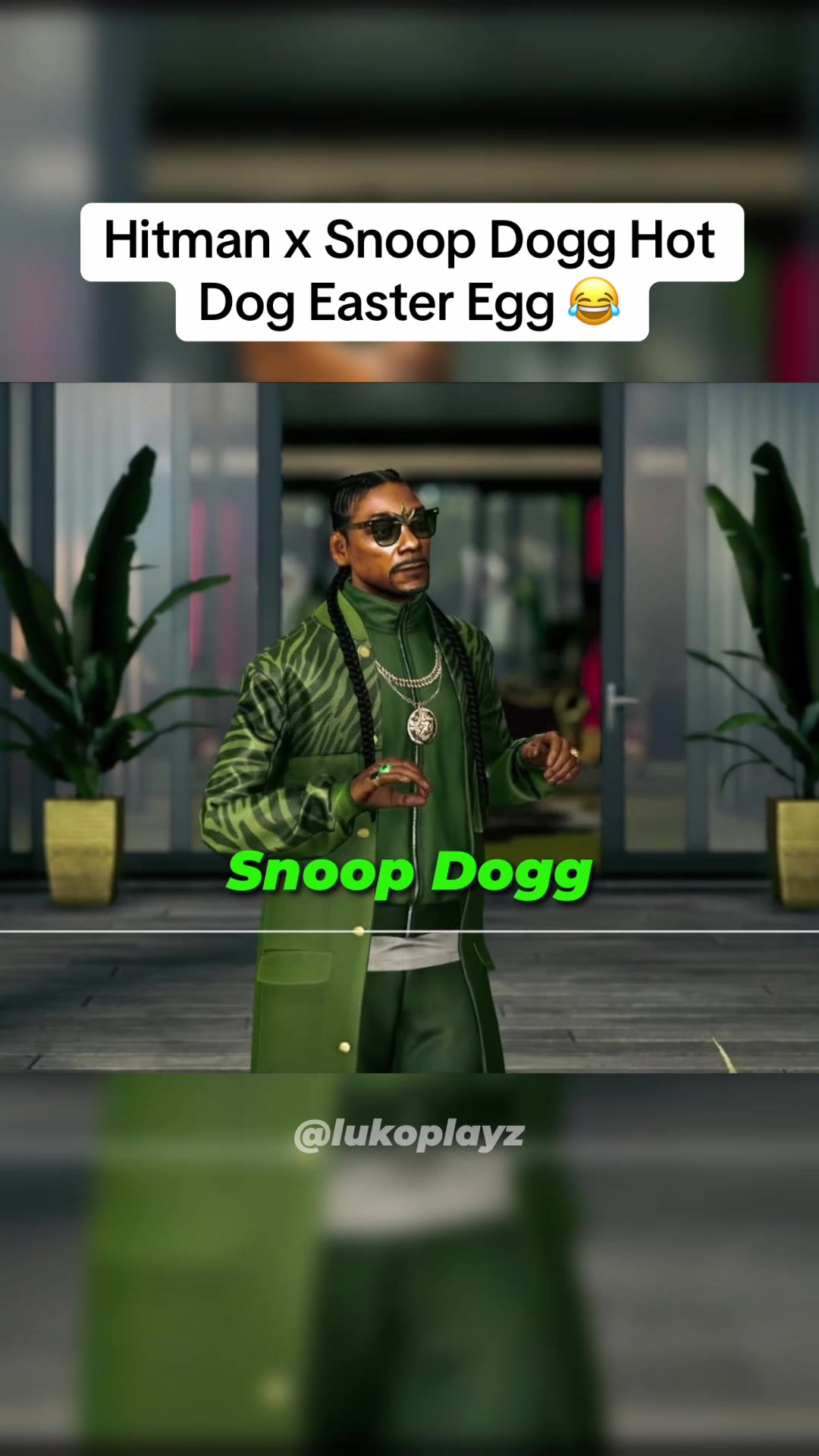 @lukoplayz