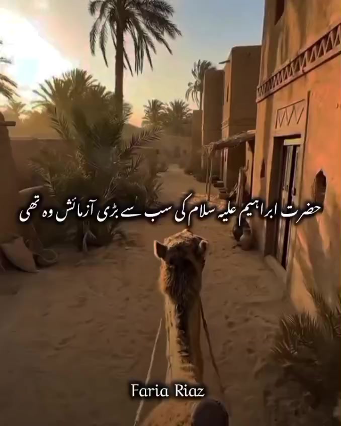 @✨ نورِ ہدایت ✨