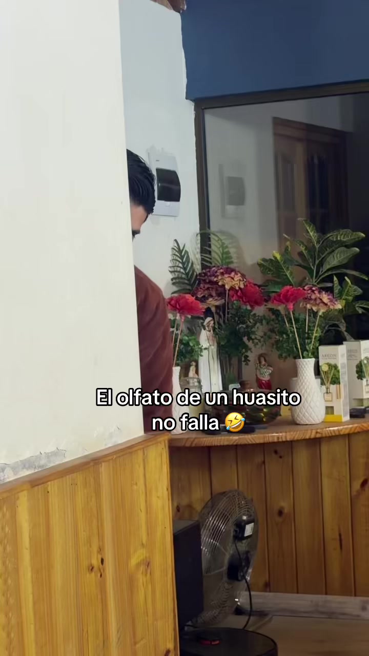 @Elian lavin